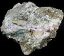 Druzy Cobaltoan Calcite On Matrix - Morocco #49224-1